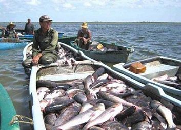 Pesca de plataforma aportará cifras mayores al programa acuícola ow.ly/6Eht308cnst