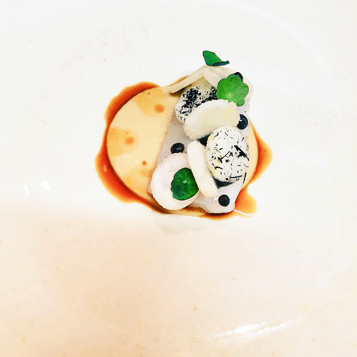 Poached cod,pickled n puréed celeriac,Apple,burnt aubergine, onion oil,hay ash.@Kokkeriet <a href="/mahamanjum/">maham anjum</a> <a href="/maaemo/">Maaemo</a>