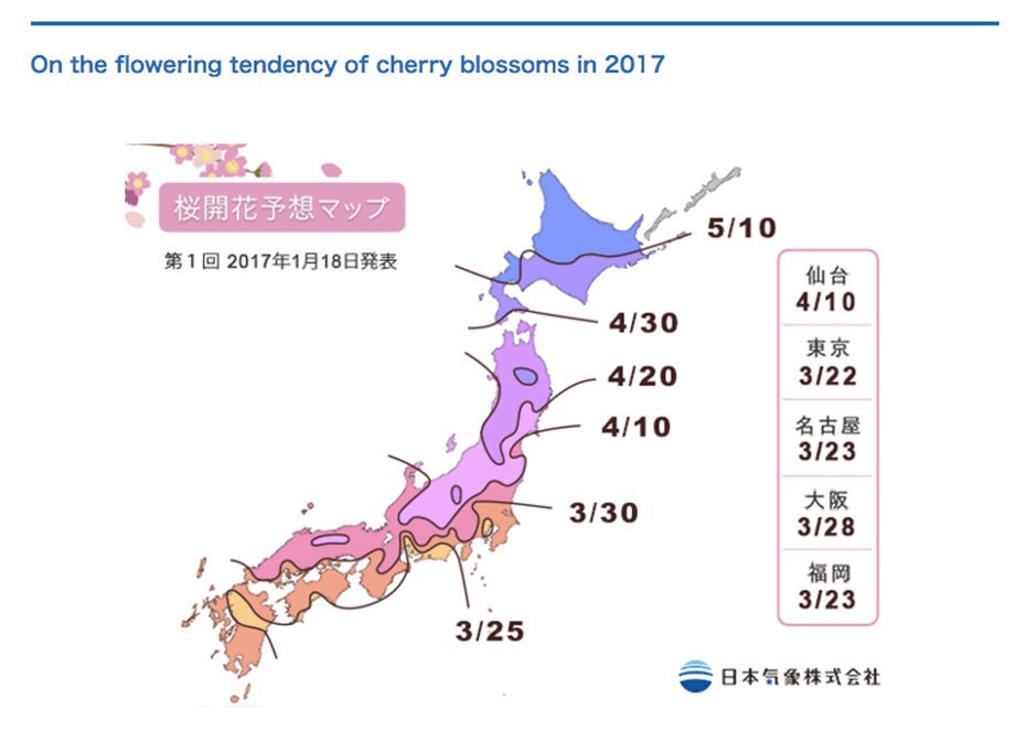 Visit_Japan's tweet image. The Japan Meteorological Corporation has released its first national cherry blossom forecast! via @TravelLeisure ow.ly/Nuue308cocR