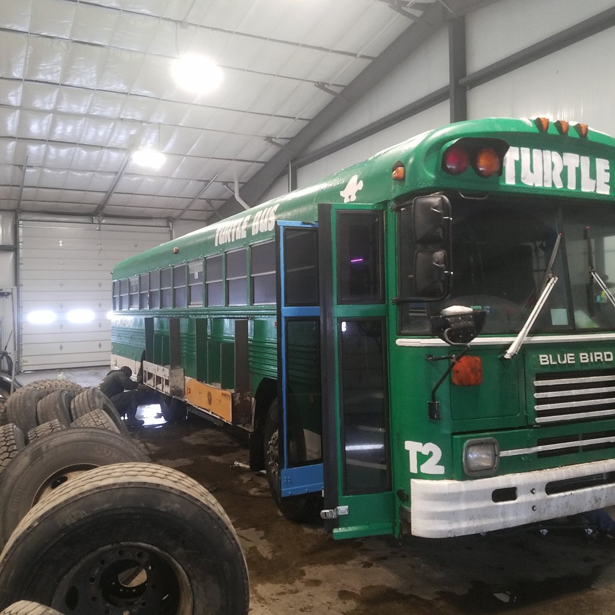 TurtleBus's tweet photo. Baby's gotta get a new pair of shoes https://t.co/PBDf6SsEf1