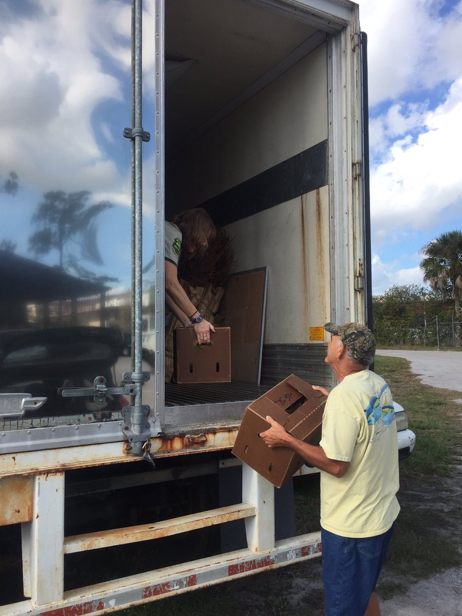 FLForestService's tweet photo. Here, there and everywhere, today Florida's communities are celebrating #FLTrees! Happy #ArborDay! https://t.co/0LLunA1bc1