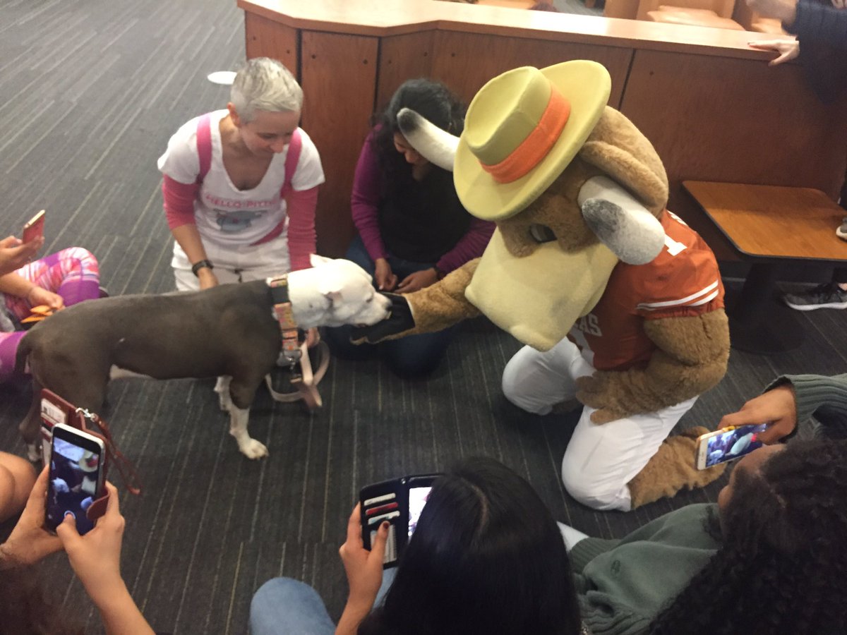 utgsa's tweet photo. PUPPERS AT THE @UTLIBRARIES (PCL)!! Stop by between now &amp; 12pm for some #snugz!! #UTGSA @ut_sg @utscc #GRADvocacy #WelcomeBackLonghorns 🐶🤘🏽 https://t.co/QUZuYnFKrj
