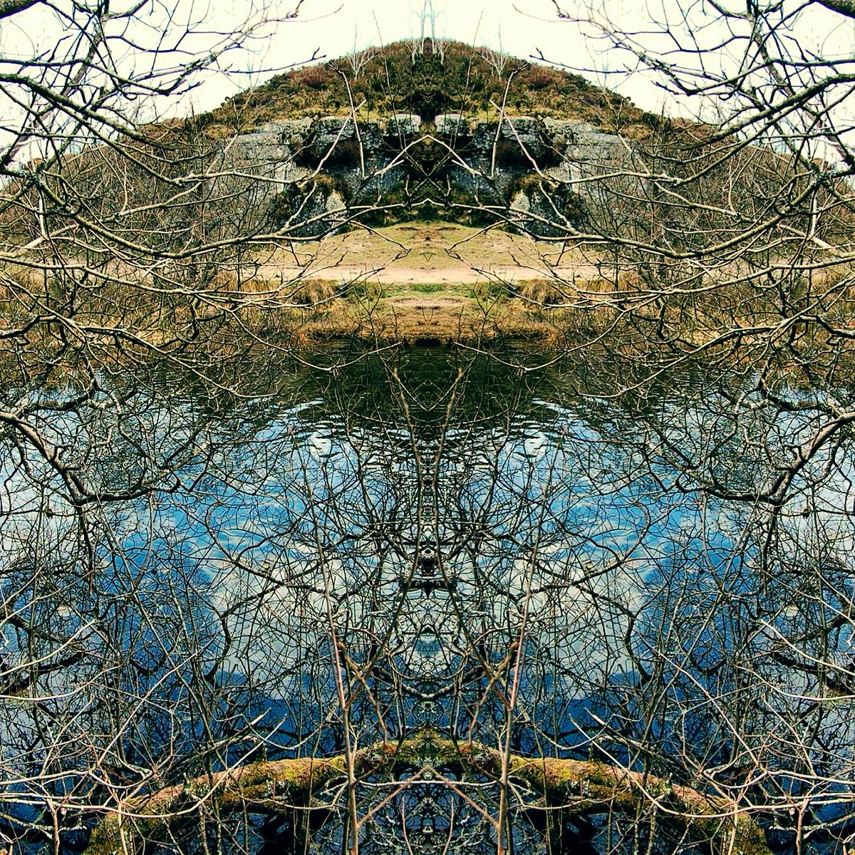 RowanAmberMill's tweet photo. Patterns in the branches no. 15, Haytor Quarry, Dartmoor. #pointofsymmetry #patternsinnature #inkblot #tree #haytorquarry #haytor #dartmoor https://t.co/BLnsaFIArC