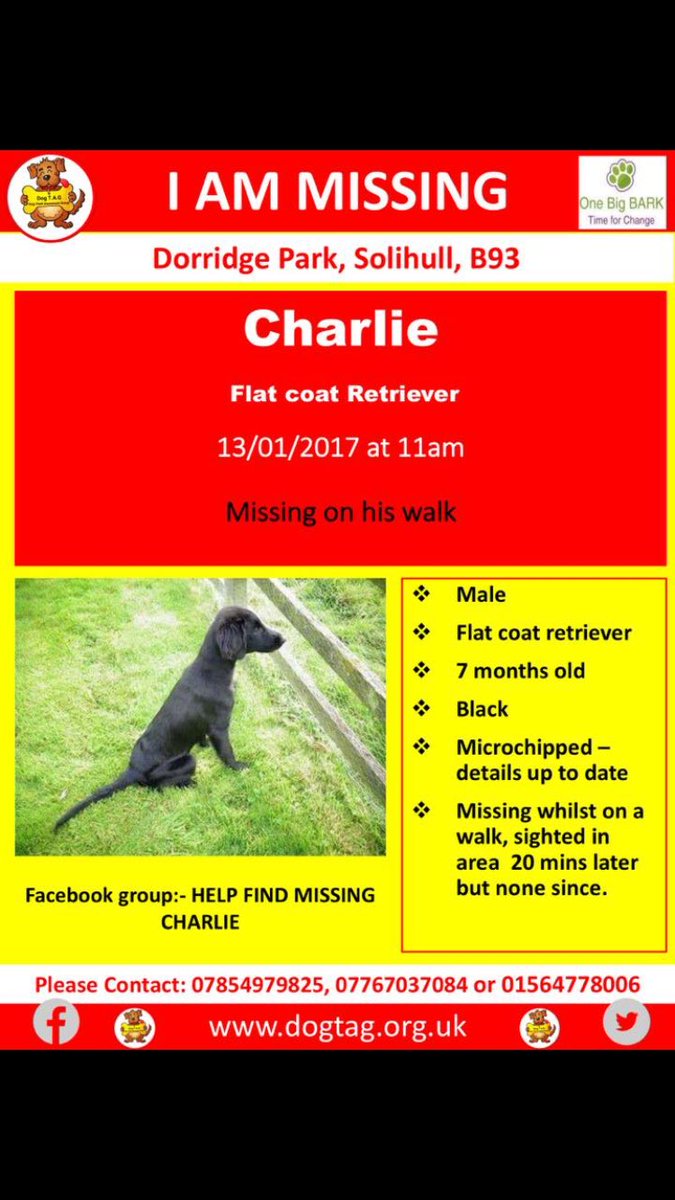 RunFreeCharlie's tweet photo. Sniffer dog and drones coming out tomorrow. Wondering if people would go to this much effort if I was missing! #GetCharlieHome https://t.co/YfzGsAh8VD