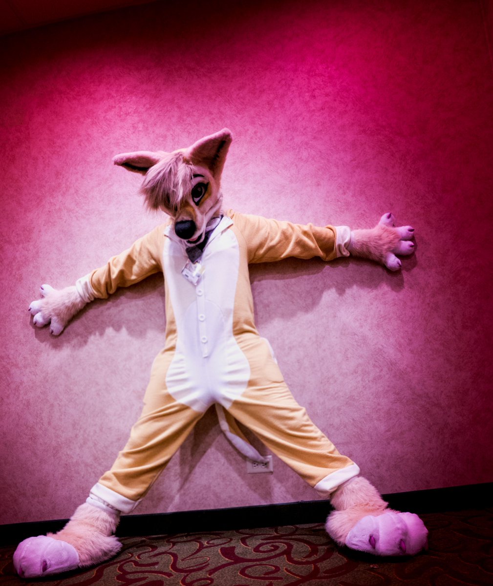 chipfoxx's tweet photo. #FursuitFriday @AshCoyote
๐ #RMFC2016
๐ท by me https://t.co/S5IUDWHDvd