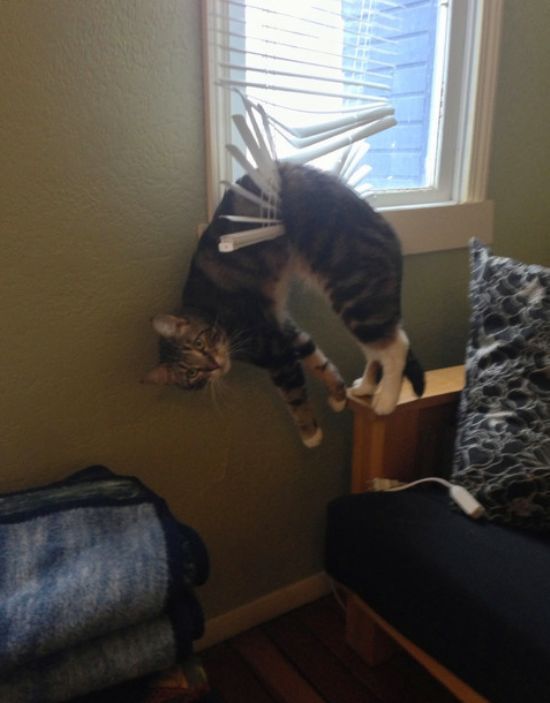 Hadouken 😔🤟 tweet media