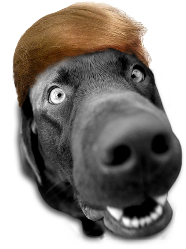 birddogsoftware's tweet photo. Some websites are not integrated. Sad!
#integrateyourwebsite #MakeEcommerceGreatAgain #Software https://t.co/opKwaarBPg