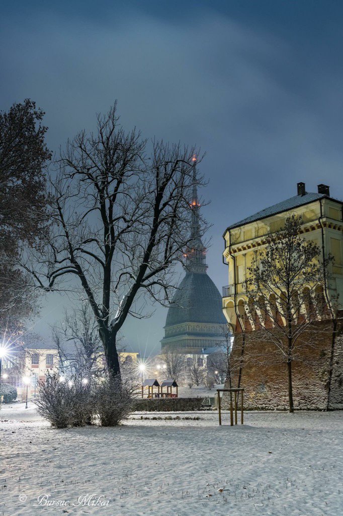 StealthCP's tweet photo. #Torino #neve #snow #inverno #winter #giardinireali #regalgarden https://t.co/zCLpFMg6fU