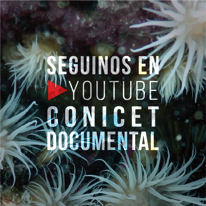 CONICETDoc's tweet photo. #CONICETDoc te espera en YouTube! Descubrí a los científicos y sus investigaciones, enmarcadas en los escenarios de cada temática científica https://t.co/sx2Fyet0SP