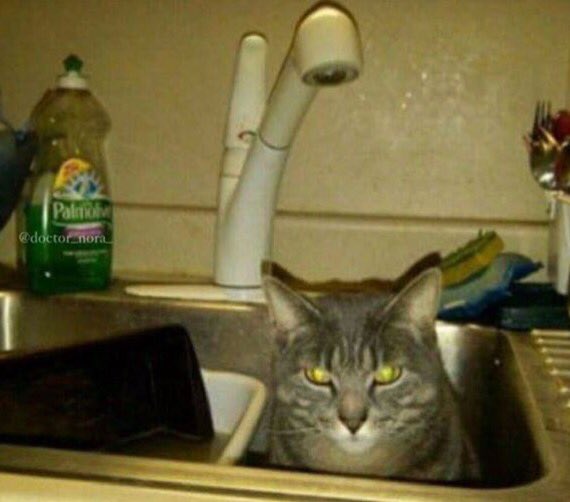 @8e1db131bd6a472 @iyiyizz