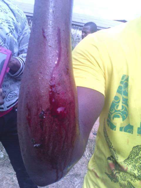 HARDCOREBIAFRA1's tweet photo. Nigerian military killed over 20 unarmed #Biafrans celebrating President Donald John Trump #Inauguration ceremony.... God Bless America https://t.co/JrwqUT3YJ4