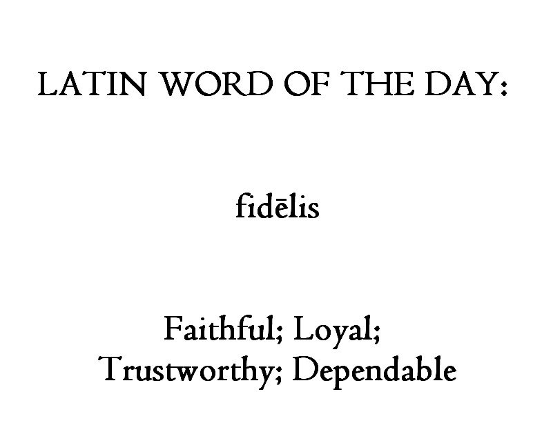 Jep dannelse Resonate World History Encyclopedia on Twitter: "#Latin #Words #Languages  https://t.co/GJ0HV2BsdP" / Twitter