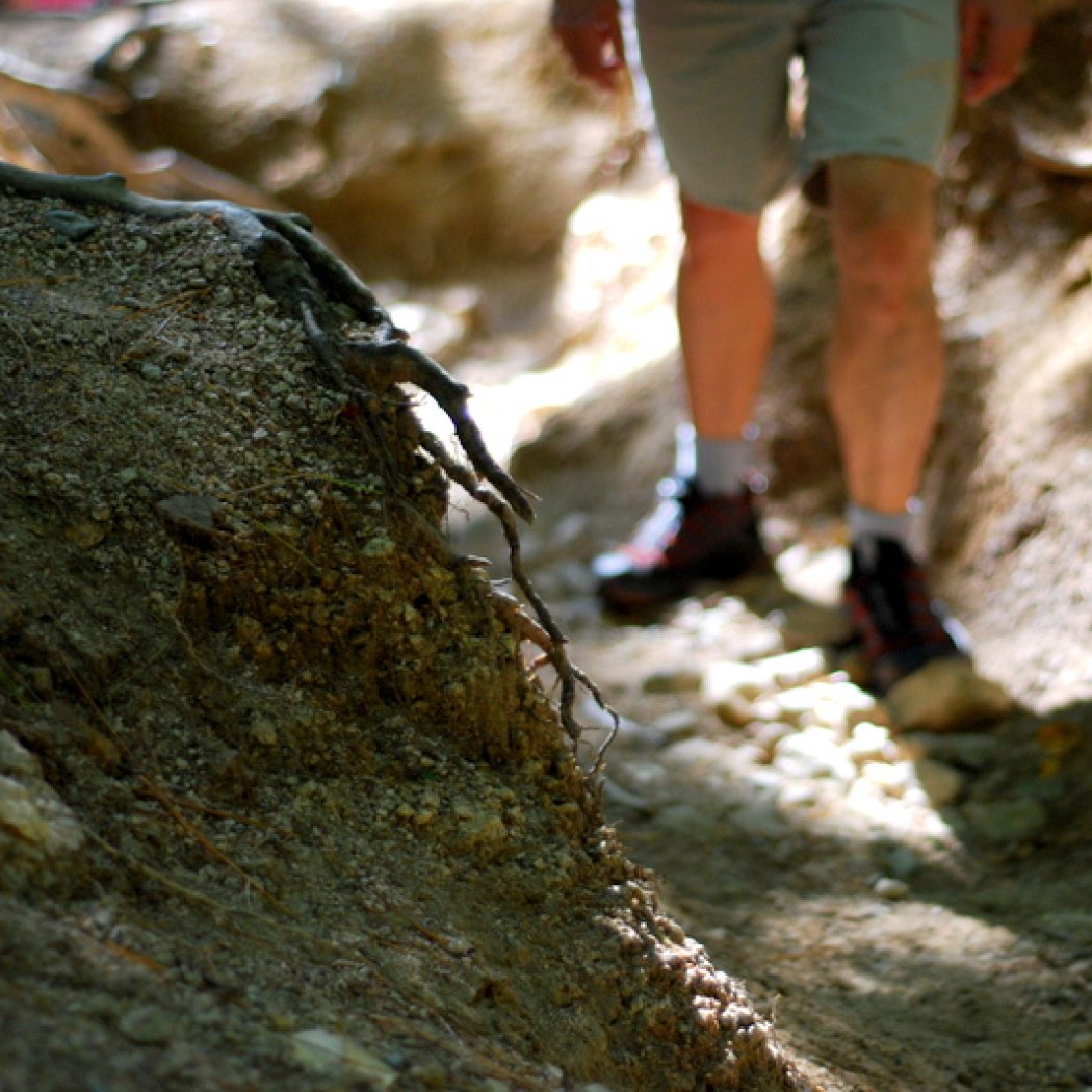 nature_groupie's tweet photo. Can you name this heavily eroded #NH #trail? #erosionproblems #trailwork #hikenh https://t.co/MEgBCLghrE https://t.co/2Ds0Jy7cCn