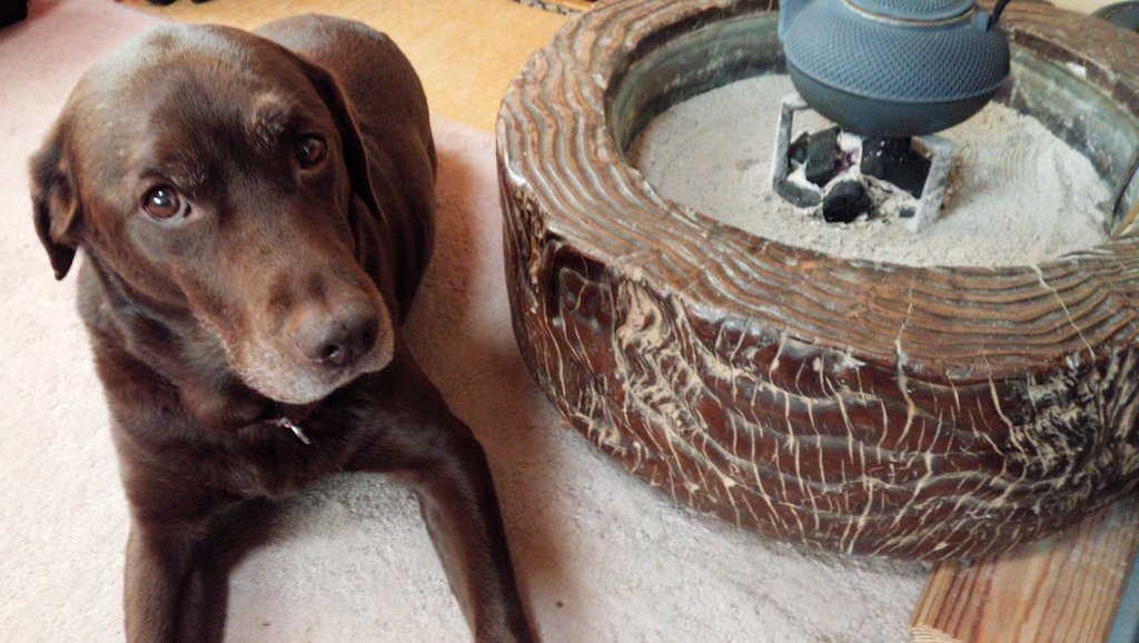 ラオウさん tweet media