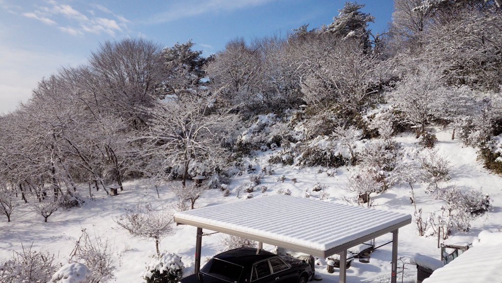 ラオウさん tweet media