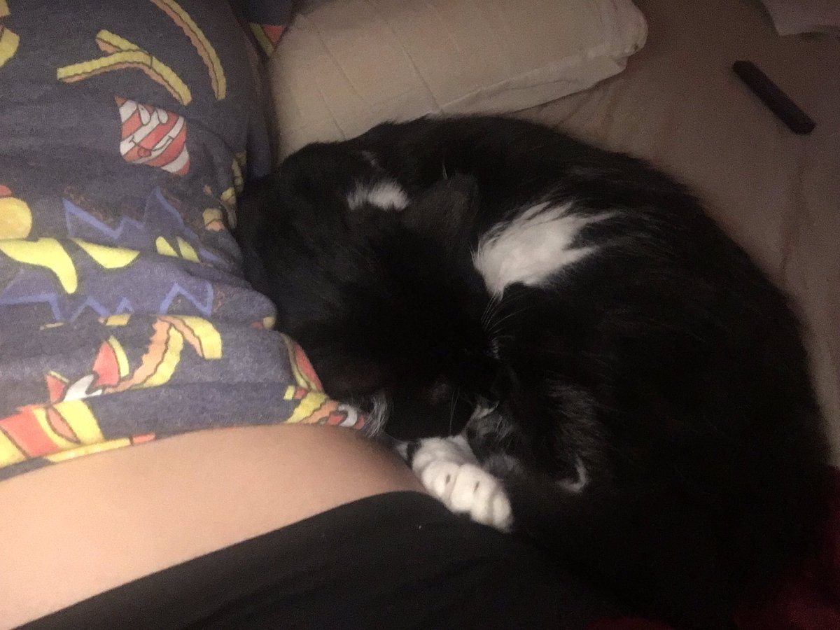 Bonetitties's tweet photo. What did I do to deserve this ✨ https://t.co/A360Vp8Nya
