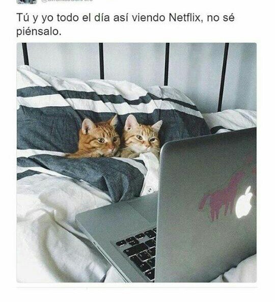 albacs87's tweet photo. Mmmm no sé, piensalo @Juanitoarco13 https://t.co/7aWID6ephL