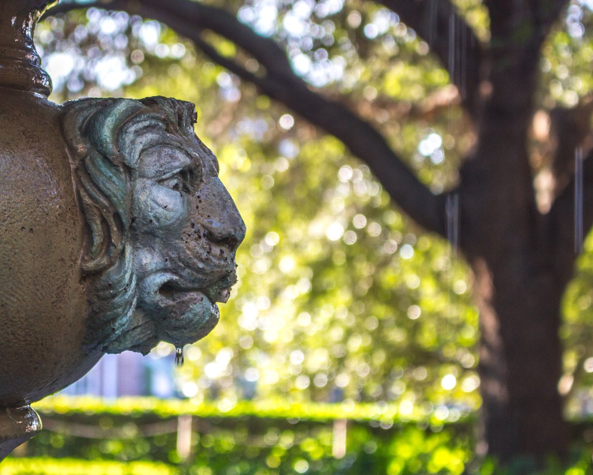 FLSouthern's tweet photo. A lion-head gargoyle only adds to the elegance that is this campus. #classyarchitecture #traditional #medieval https://t.co/D53wxZxhRB