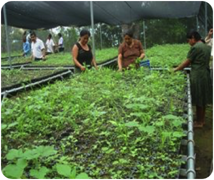 A través de la economía social y solidaria hacemos un llamado a hacer las cosas diferente y construir un mundo mas justo #SiEsPosible