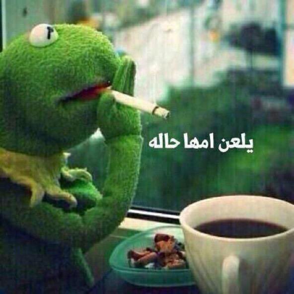 #بيان_نادي_الشباب
هذا حال الطحالب الحين
انبح ي ضفدع 😂😂
ههههههههههههههههههههههههههههههههههههههههه