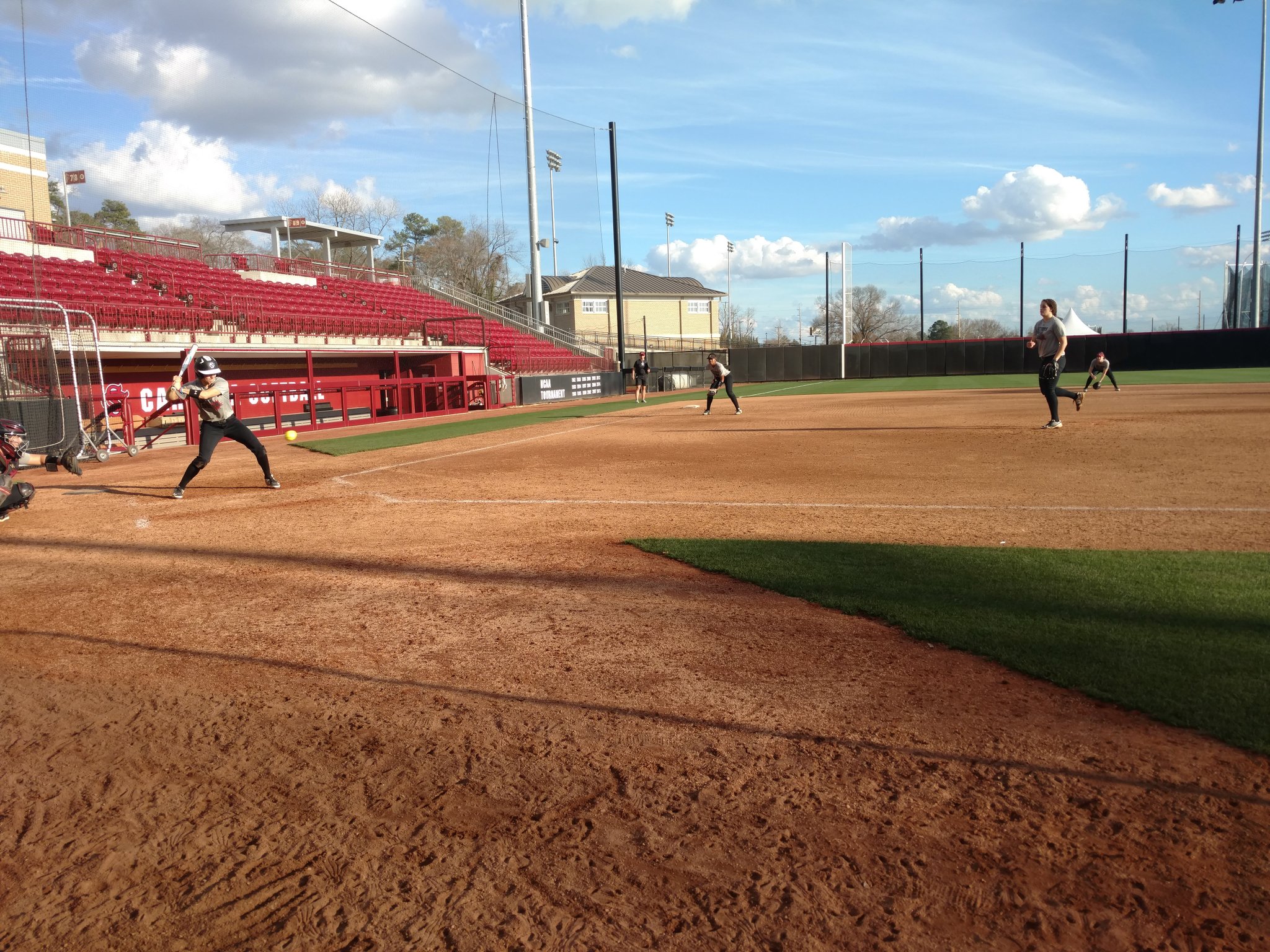Gamecock Softball on Twitter: "Can we say gorgeous again? Because that