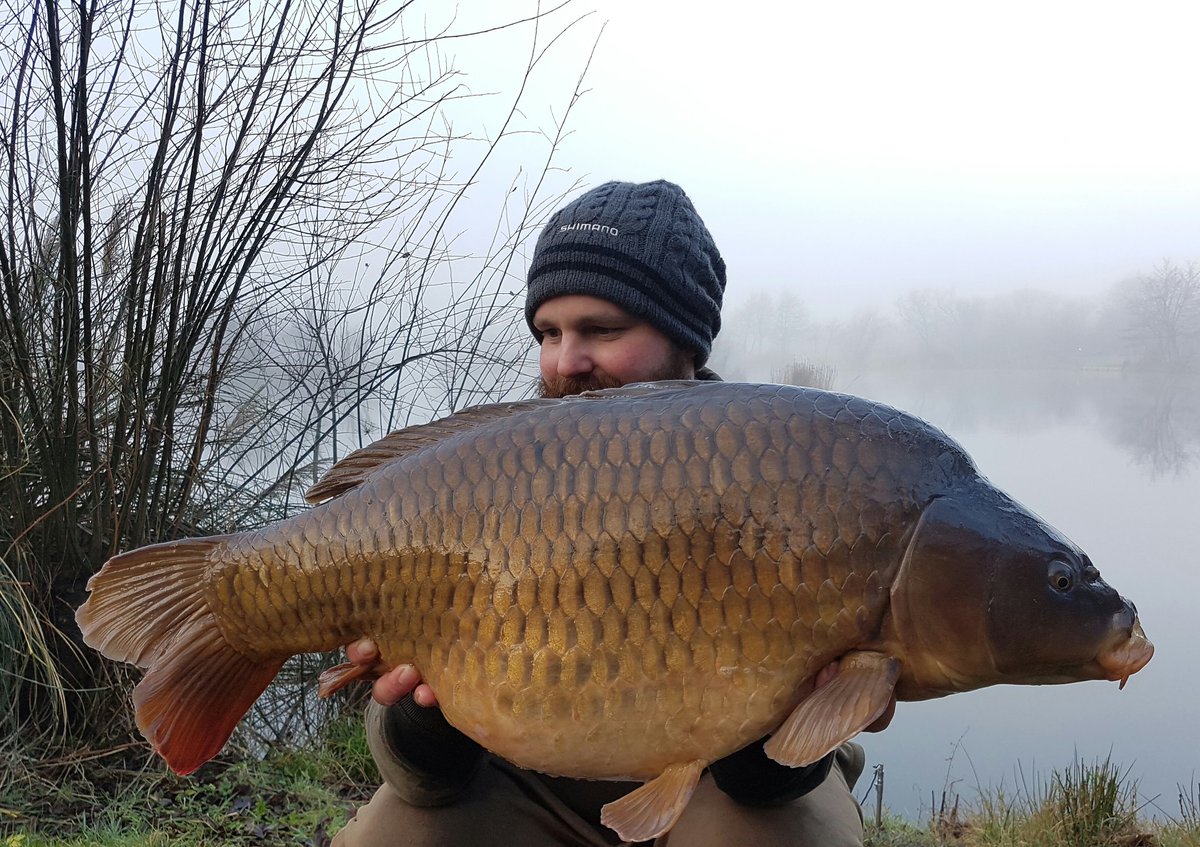 Tales from Wales tweet media