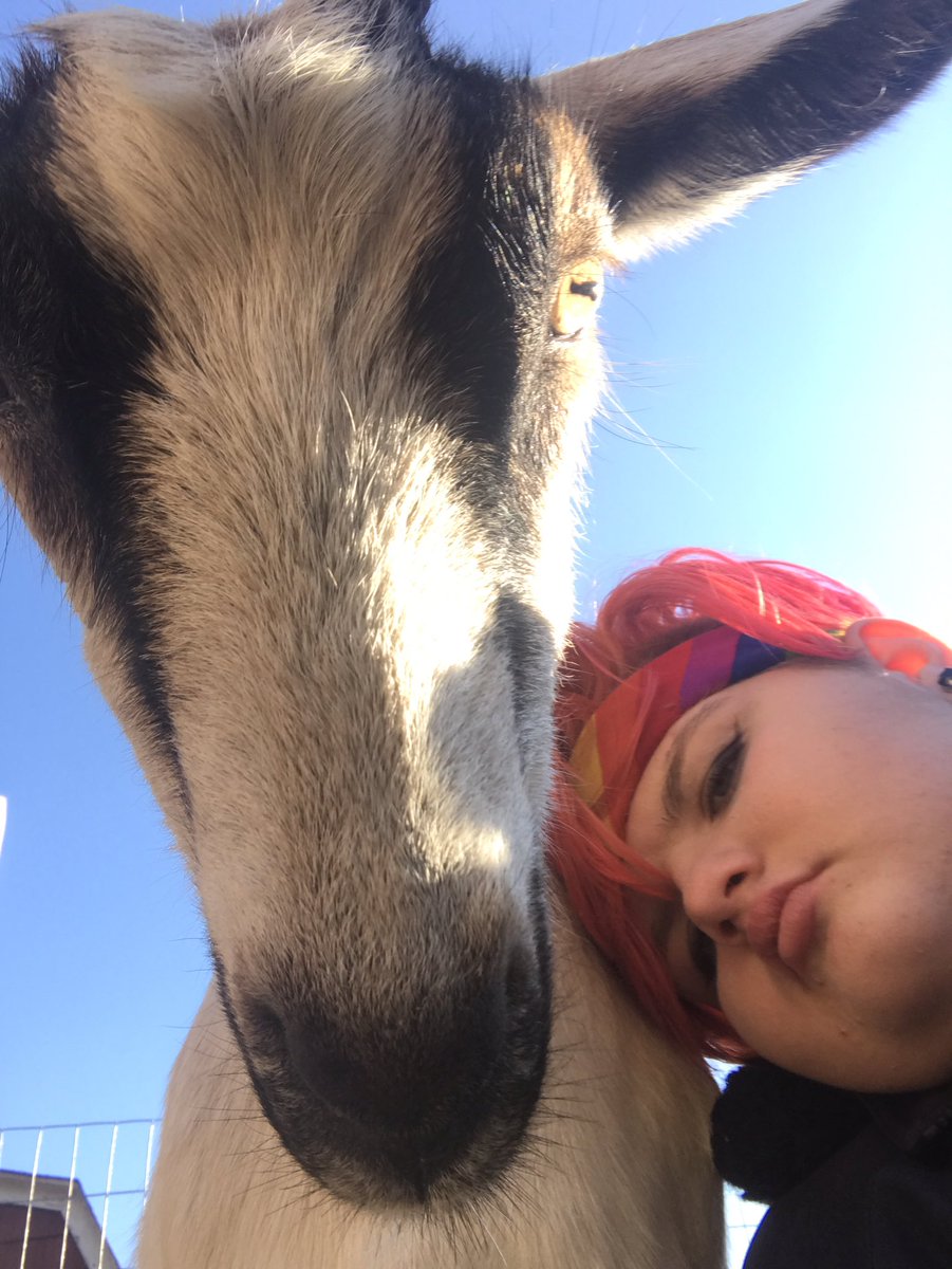 spacespasm's tweet image. a concept