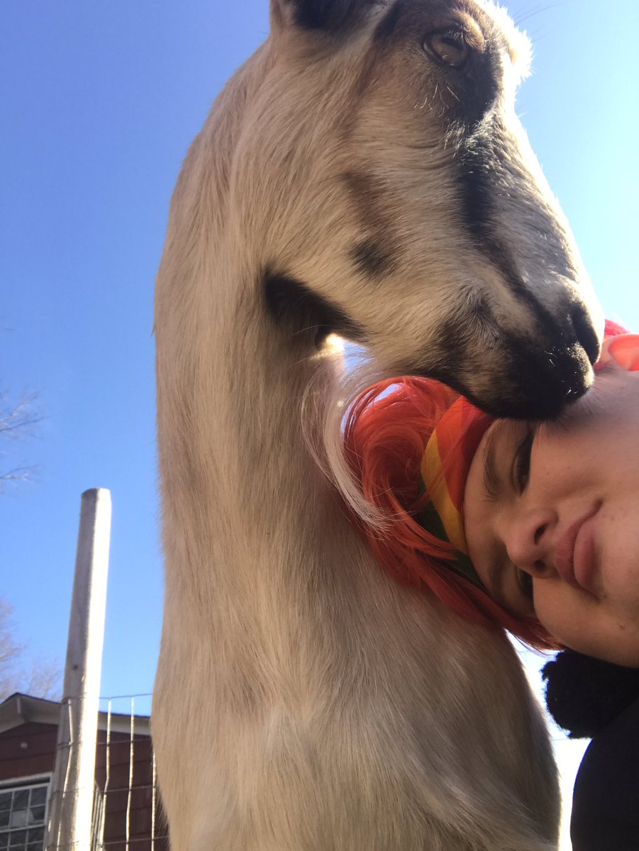 spacespasm's tweet image. a concept