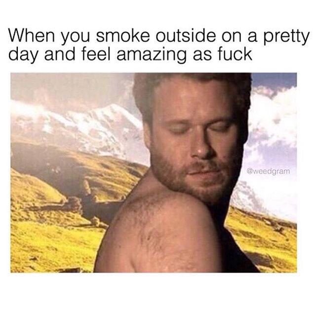 Friday mood. ☀️✨ #HighSupply #HighSupplyUSA #HappyTuesday #MarijuanaMeme #Blunt #Loud #StayLifted #Marijuana #Weed #High  #DenverCO #420