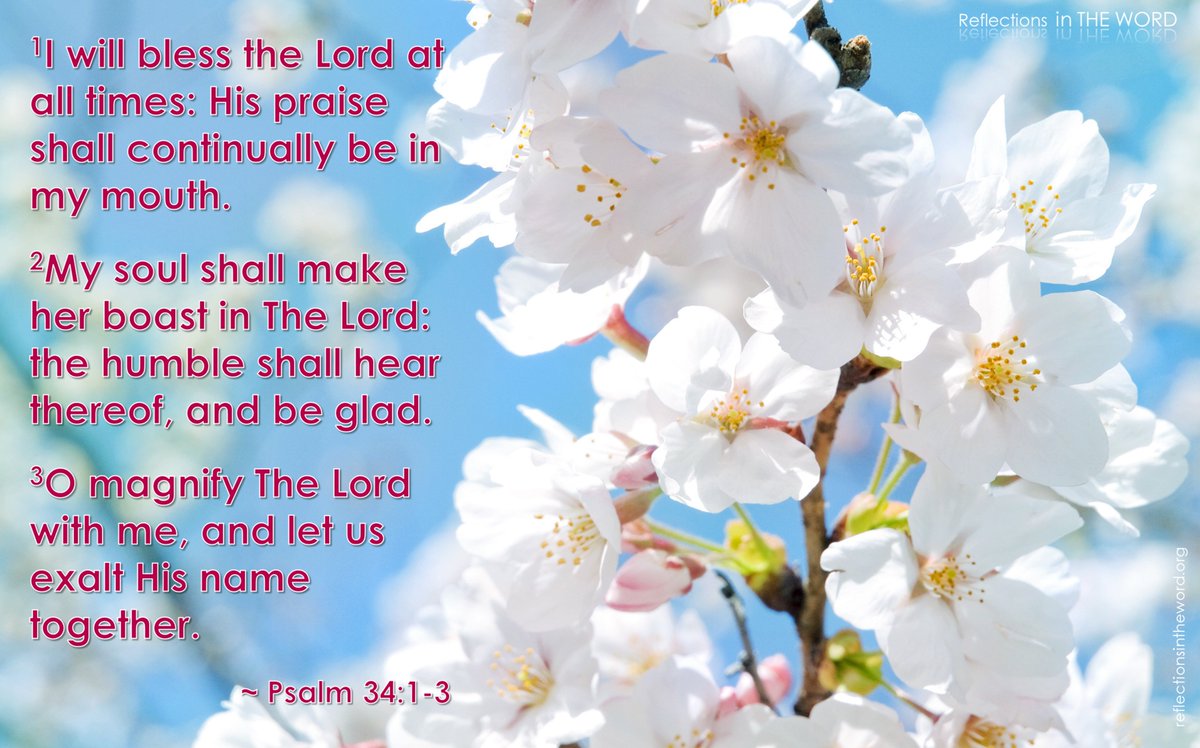 lilo623's tweet photo. @Miss_spacess @Juliecares4u @doucefeline @AHeartofVirtue @ledrew @SandiHMaitland @beautee12 @Felicia3151941 @EmuGirma1 @Yongyuan0162 #PTLord https://t.co/fCykLeS62E
