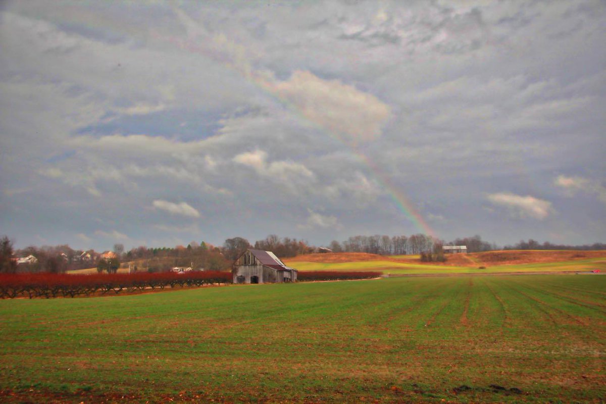 JustinWeather's tweet photo. Rare winter #Rainbow seen at @SwannFarms in southern Maryland today 🌈👍 https://t.co/vQ660rU3Xr