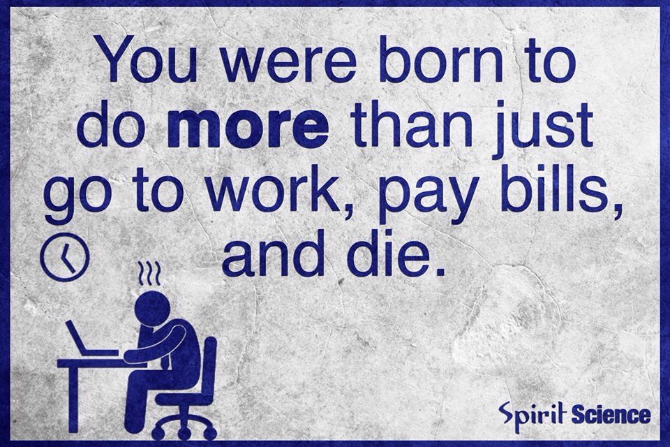 princecrownyx's tweet photo. #spiritmindset🏃 https://t.co/MqbD4pTf45