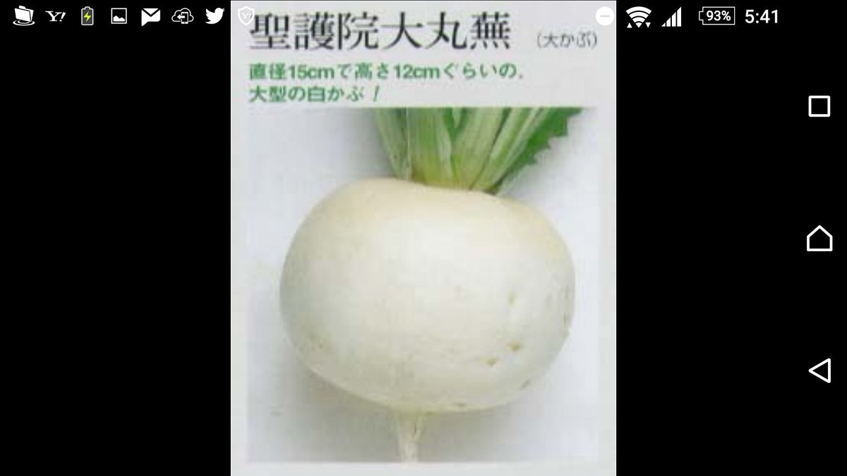 @EuniceMarques10 <a href="/olgalmd/">Olga Muñoz 🇲🇽</a> <a href="/Lot_Salas/">Lot Salas</a> <a href="/Lord_Geward/">Lord Geward</a> <a href="/leia_silva16/">Léia Silva❤</a> <a href="/Mted21/">Mted</a> <a href="/akqwante/">Akqwante Burton</a> <a href="/CU2MRO/">100% #F4F!</a> <a href="/VNagahama/">Viviane Nagahama</a> <a href="/kristicolivera/">Olivera Kristić</a> @AneMeneghine おはよう