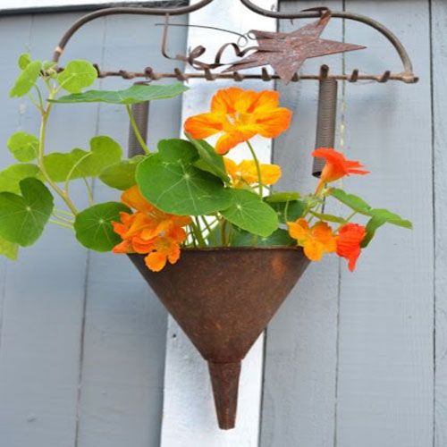 arizonapottery's tweet photo. Odd yet unique garden planters - a hoe & a funnel. So cute. #oddpots https://t.co/hWcu1SnfuW