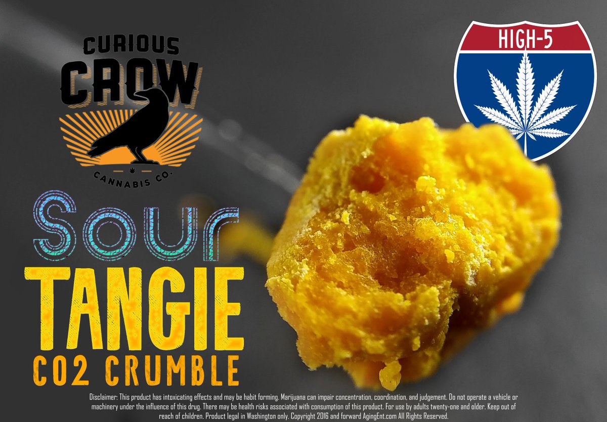 theAgingEnt's tweet photo. #SourTangie #CO2 #Crumble #CuriousCrow #WAPot @High5Cannabis #High5VanWA
https://t.co/NTvffm0iHk
#dabs #Bright #Sativa #High #legalweed https://t.co/TnsPafqcO0