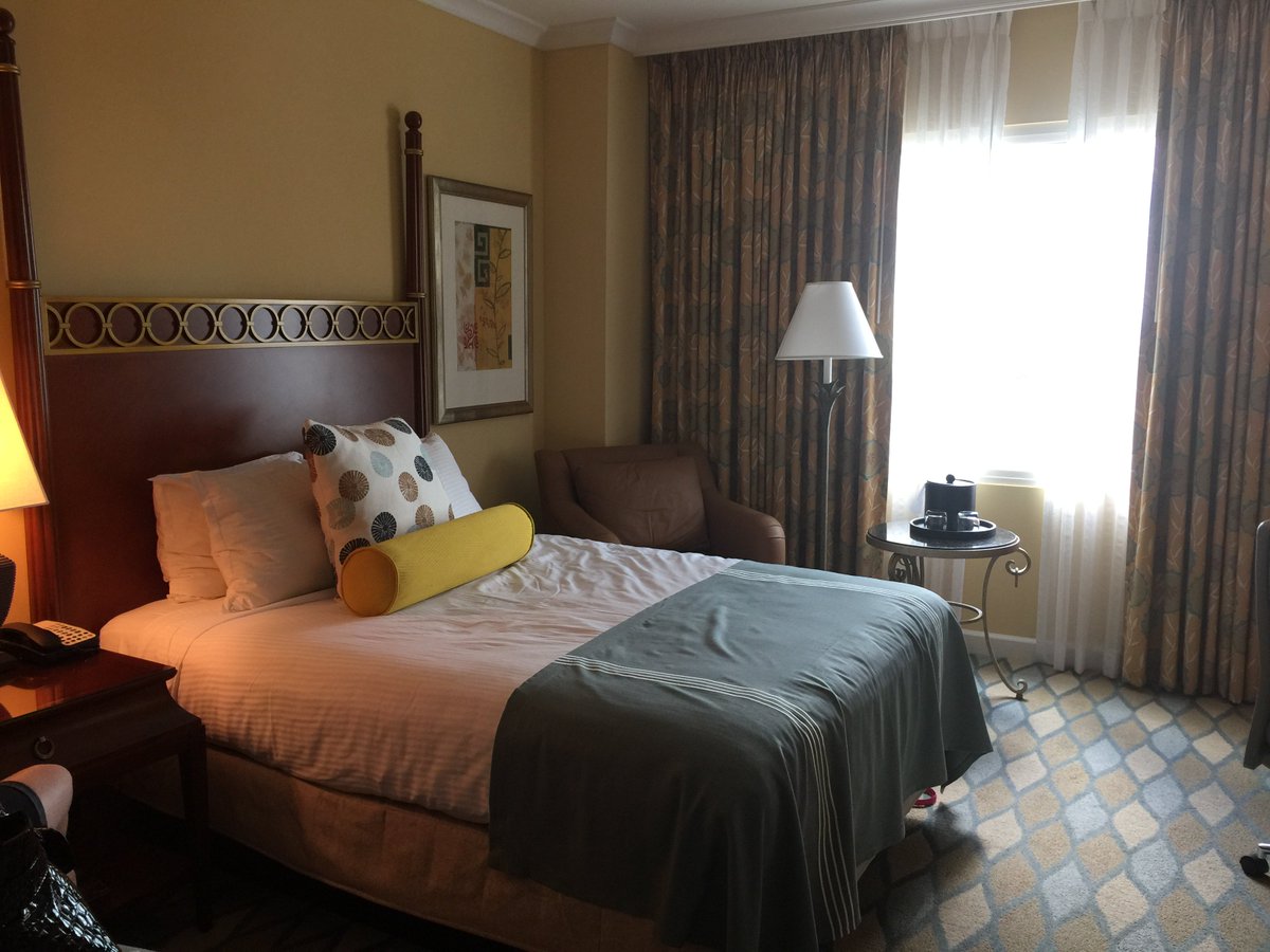 funadventrues's tweet photo. Fun Adventures
       Let me book you next Cruise
  https://t.co/HsPbsZm9qJ https://t.co/iHPIhrkA5O