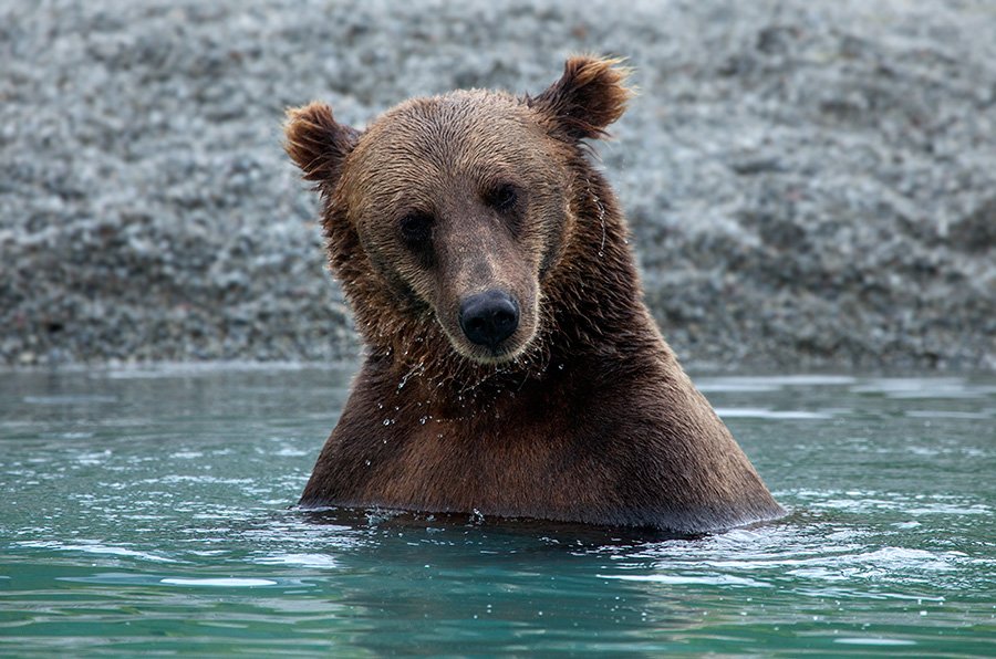 Rhyme_Rhythm's tweet image. Politics. Do you get it?  I don&apos;t get it. 

#Searchingformeaning