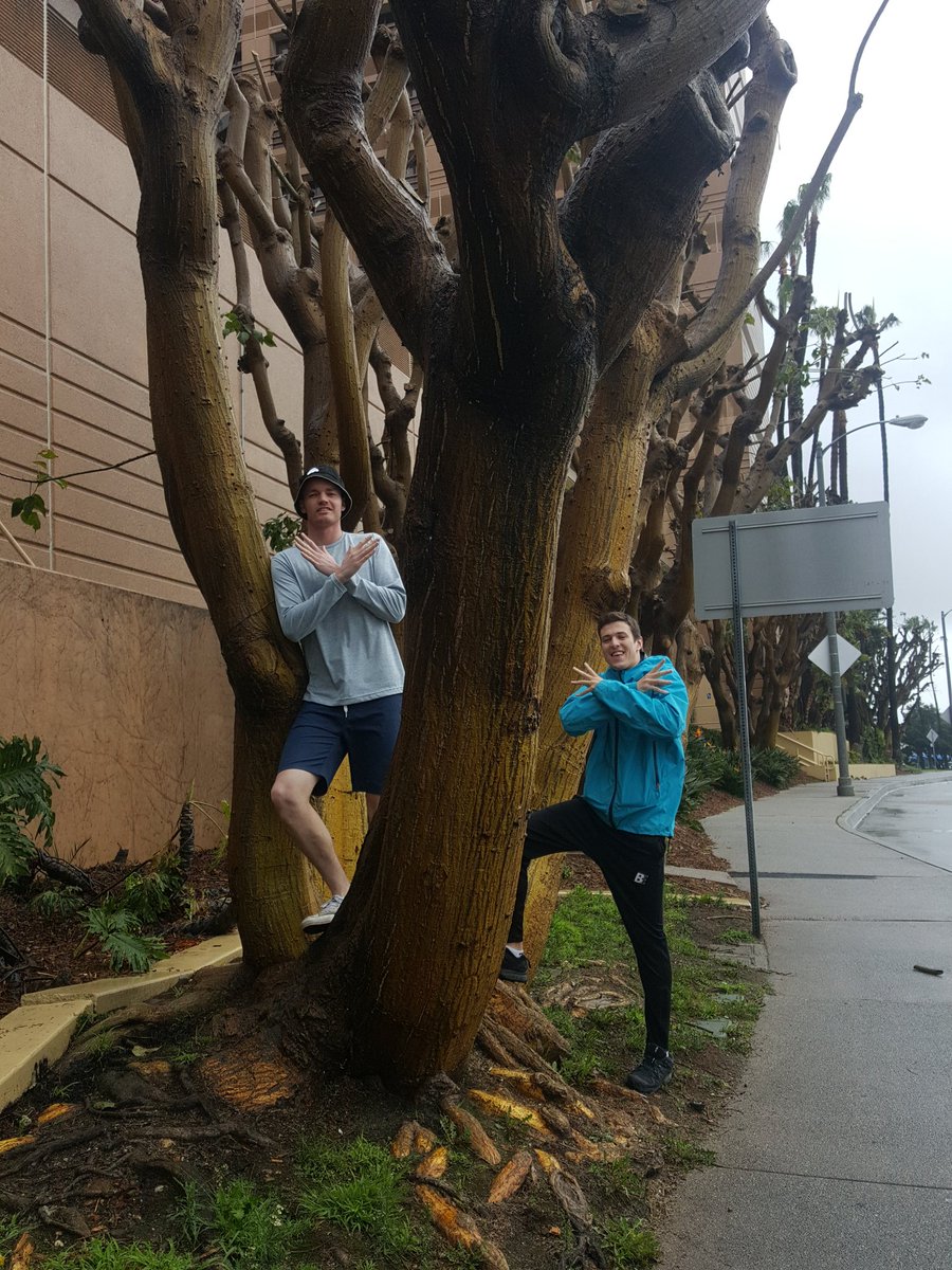 nxtmns's tweet photo. You know the NXTMNS love their SoCal trees! #leiout2017 https://t.co/Fn4Dmft8JS