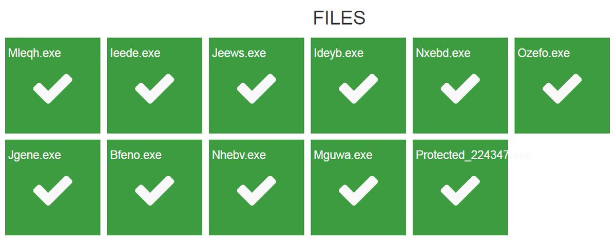 enelpc's tweet image. #InsanityProtector en desarrollo con nuevas funciones. Polymorphic Loader, todos los stub son diferentes y todos son indetectables ;) #FUD