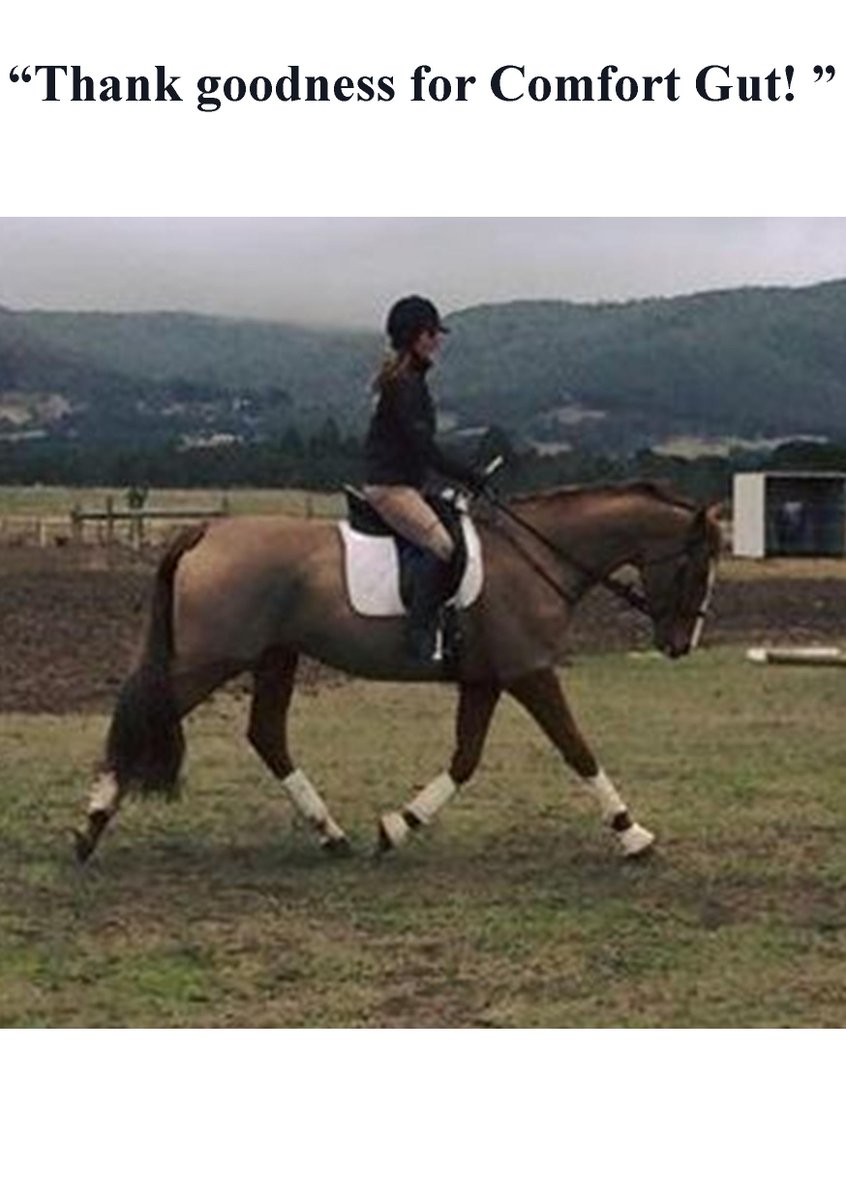 ComfortGutWorld's tweet photo. #TopFeedback FEI & RaceLegal https://t.co/nF76Yf5QIM #AvailableWorldwide #eq #equestrian #equinehour #ponyhour #love https://t.co/UbXDxjFyb9