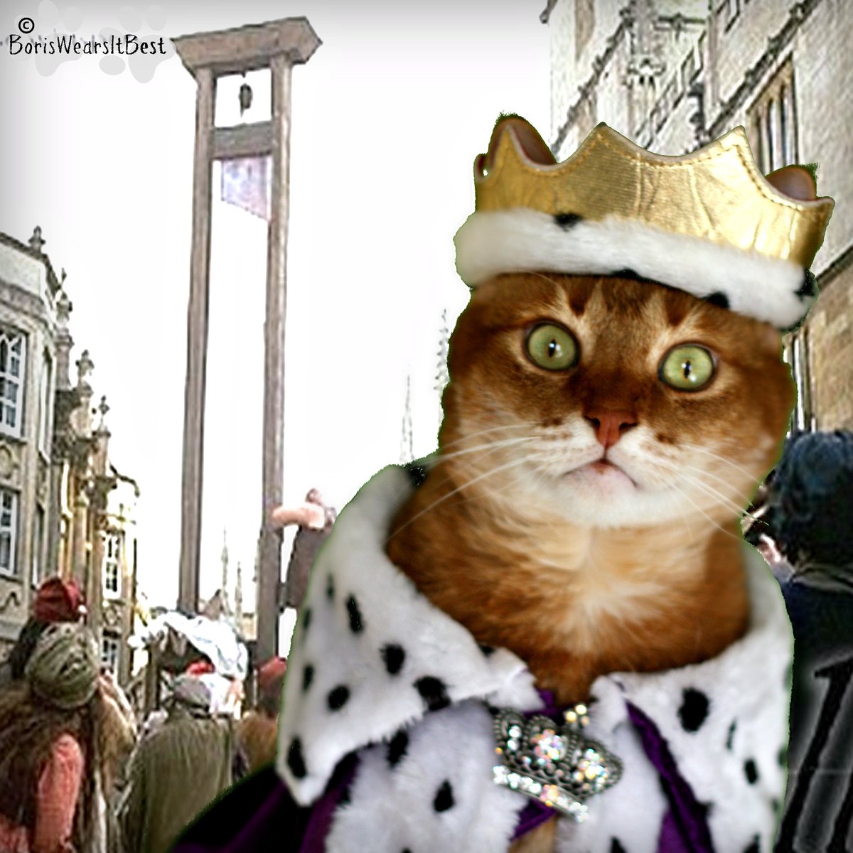 BorisWearsIt's tweet photo. Let them eat Meow Mix! #resist #offwithhishead #revolution #boriswearsitbest King Boris on the set of Quills, no cats harmed in this pic! https://t.co/2jn6lGDuVf