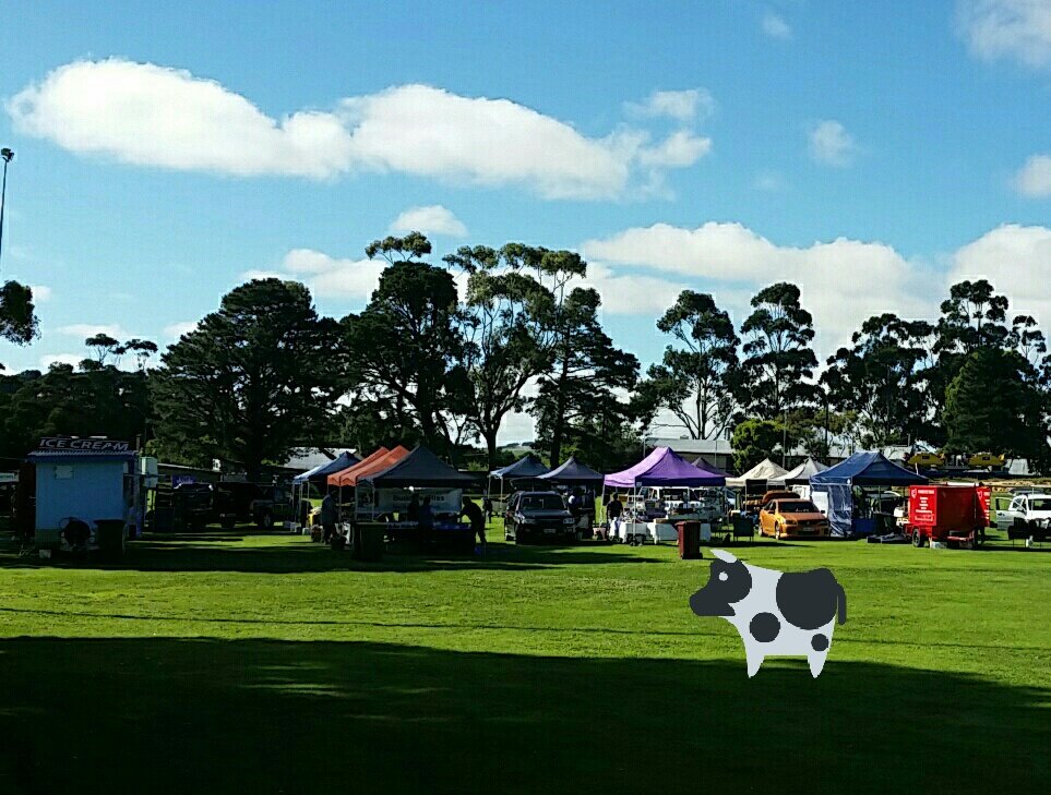 DiggetyDogs's tweet photo. Mt Compass turning it on for that other race - #compasscup https://t.co/sH17RHsH3Y