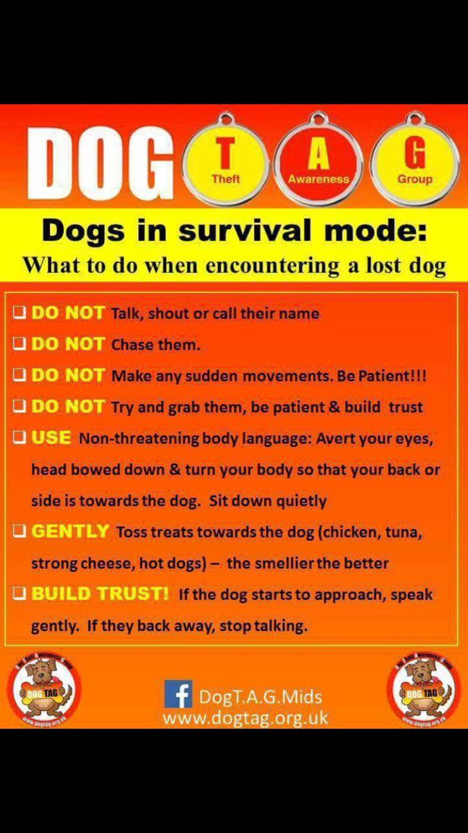 RunFreeCharlie's tweet photo. It's important to know what to do if you do think you've come across Charlie. Ring us! And follow the advice in this poster: https://t.co/DuCVtkK2Gp