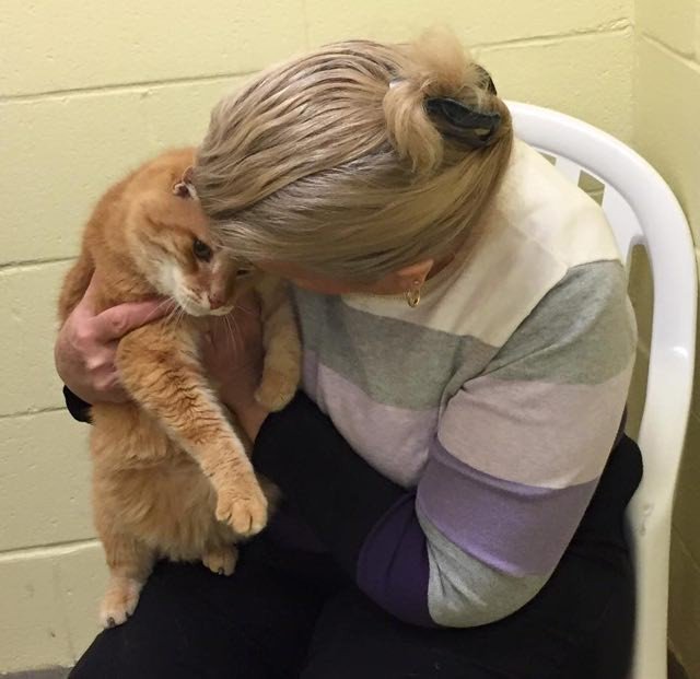 Woman with a Big Heart Adopts a Shelter Cat, Then Goes Back for His Best Friend
Continue reading HERE: mf.tt/Vnu4i