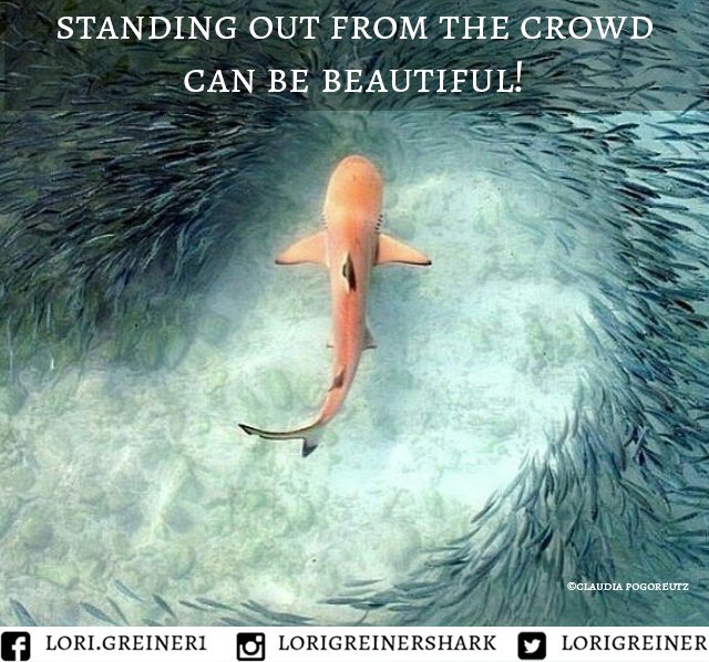 LoriGreiner's tweet photo. https://t.co/UCpfvkNQ9U