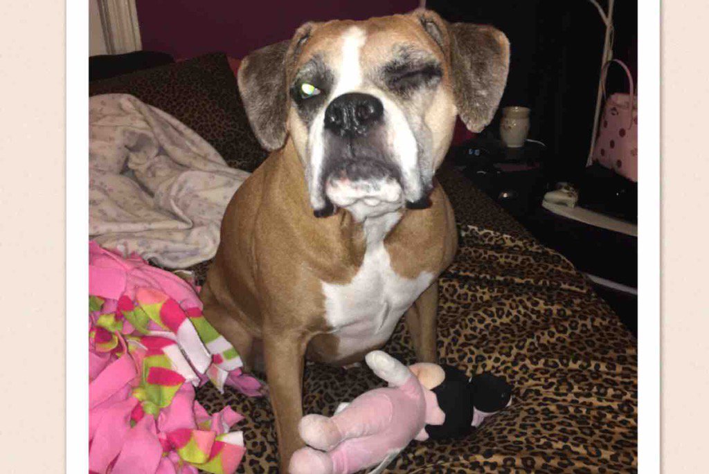 Coll5789's tweet image. Please support my GoFundMe campaign: gofundme.com/3966gag?pc=tw_… @gofundme