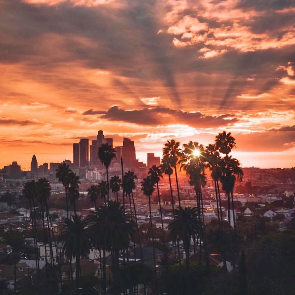 #LAallday ✌️ Get just about anything delivered, just about anytime — bit.ly/PinkDotDelivers (Photo: <a href="/cole_younger_/">cole pisarcik</a>)