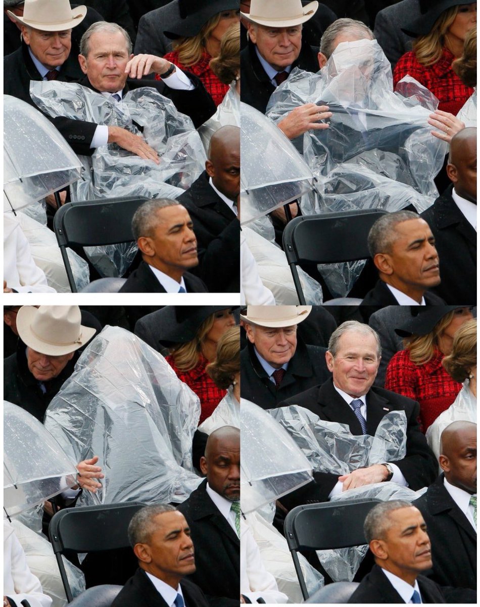 BrunetteBetch's tweet photo. Dubya is my spirit animal. https://t.co/NYdz9ndV3P