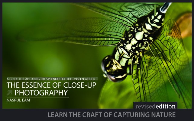 fotoPhilippines's tweet photo. The Essence of Close-up Photography - https://t.co/hp9UZMrQwp - https://t.co/d9MVbHdSyo