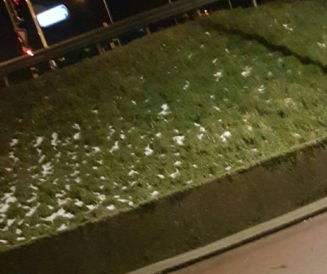 Boelie076's tweet photo. Die zattige gedachte dat je te wreed bent om te worden overvallen en. nog seetds prmia knut typne. #naCpraat #NACach #hjdlkns2 https://t.co/c6Pb1kSTu1